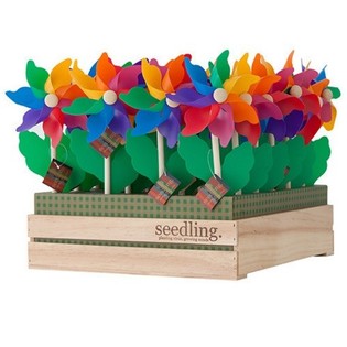 กังหันลม SEEDLING ในกล่องโชว์ (20 ชิ้น)