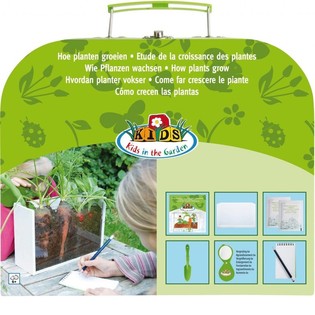 ***สินค้าขายดี*** กระเป๋าเอ้าท์ดอร์: เรียนรู้การเจริญเติบโตของพืช